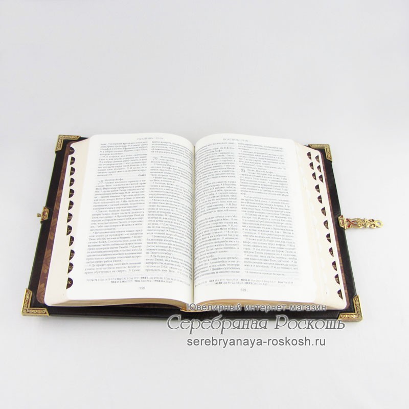 Библия в серебре и эмалях